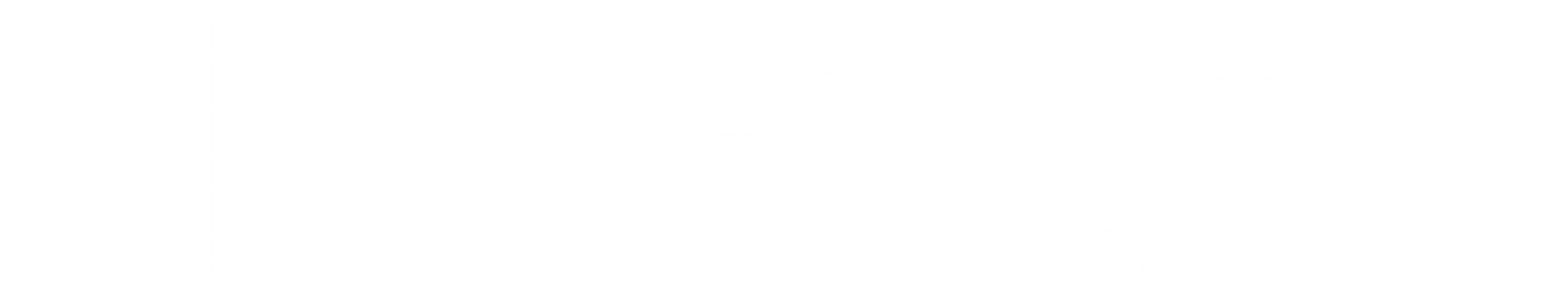 logo-footer
